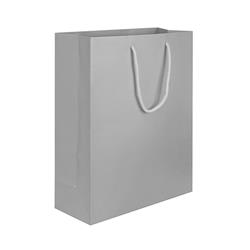 NON-IMPRINTED GRAY Medium Paper Bag 8 W x 4 D x 10" H (100/box)